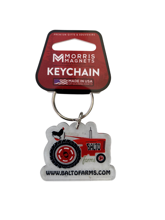 Logo Keychain
