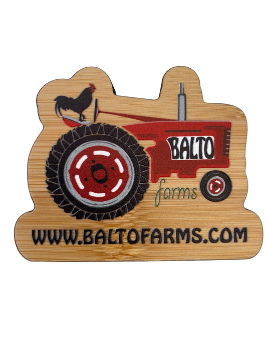Logo magnet