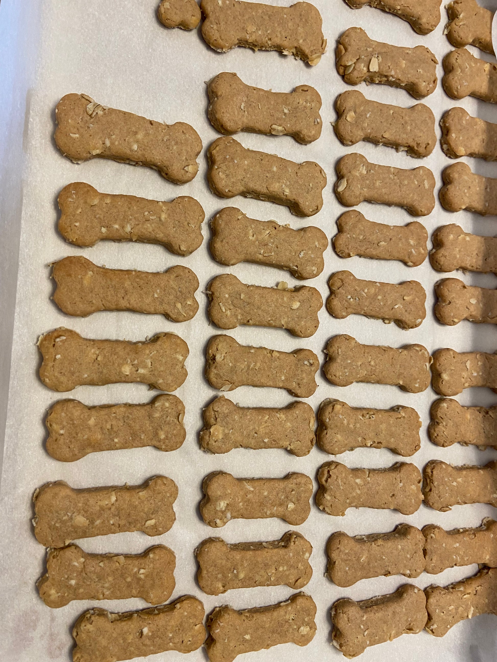 dog treats